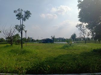 Bán Lô Biệt Đơn Lập Khu A Dự Án New city Phố Nối