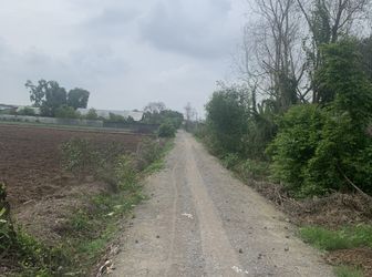 Đất Vĩnh Thanh Khu Quy Hoawchj Đất Ở Nông Thôn 542M Nhanh Nhanh