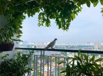 Chính Chủ Cần Cho Thuê Gấp Opalriverside 96M2-3Pn-View Sông Sg-Nt Full Đầy Đủ-Ở Ngay-Lh 0909804486
