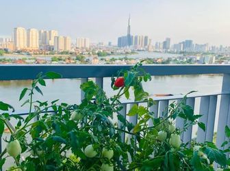 Chính Chủ Cần Cho Thuê Gấp Opalriverside 96M2-3Pn-View Sông Sg-Nt Full Đầy Đủ-Ở Ngay-Lh 0909804486
