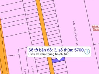 Bán Gấp: Đất Đồng Nai, Thổ Cư 100%, Mặt Tiền Đường Phùng Hưng 