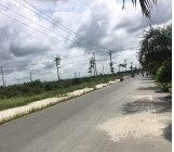 Đất Mặt Tiền 12M Để Xây Biệt Thự Phong Phú 6, Bình Chánh, Shr, 1,2 Tỷ/nền