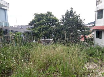 Bán Đất Đường Hùng Vương, Phường 11, Đà Lạt 354Mv Mã 20074 