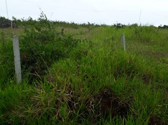 Chính Chủ Cần Bán Đất Mặt Tiền Trần Nhật Duật, Phường 2, Tp Bảo Lộc