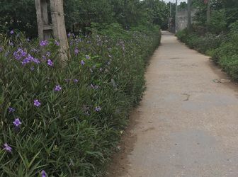 	Bán Đất  65M2 Tại Vĩnh Ninh ,vĩnh Quỳnh .thanh Trì  .gía  :1,39 Tỷ ,đất Nở Hậu Sinh Lộc