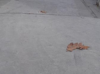 Nhà Giá Rẻ Cho Người Thu Nhập Thấp Chỉ 650Tr, Pháp Lý Rõ Ràng, 67M2 Nằm Ngay Trung Tâm 