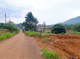 Chủ Bán Lô Đất Mt Đ.nhựa 8M, Cách Tt Bảo Lộc 2,5Km, Giá 4Tr/m2