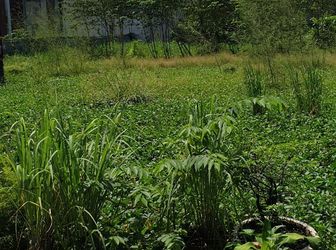 Cần Bán Đất Nền Ở Ngã Tư Gò Mây Diện Tích 5X 10 Giá 812 Triệu