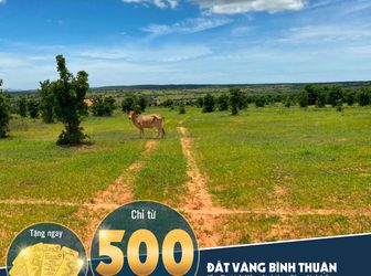 Đất Bình Thuận Sốt Nhất Thị Trường Hiện Nay