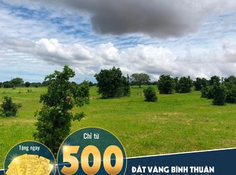 Đất Bình Thuận Sốt Nhất Thị Trường Hiện Nay