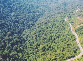 Đất Biệt Thự Nghỉ Dưỡng Bảo Lộc, 350M2 Giá Chỉ 1Ty5, Sổ Hồng Riêng 