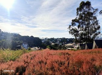  296,8M2 Nền Đất Biệt Lập 2 Mặt Tiền View Thung Lũng Phường 11 Giá Chỉ 26 Triệu/m2