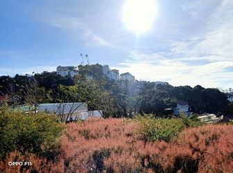  296,8M2 Nền Đất Biệt Lập 2 Mặt Tiền View Thung Lũng Phường 11 Giá Chỉ 26 Triệu/m2