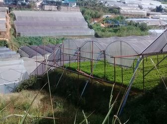  98M2 Mặt Tiền 6,58M Có Ngay Nền Đất Mặt Tiền Đường Nhựa Nam Hồ Giá Chỉ 2,3 Tỷ