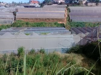  98M2 Mặt Tiền 6,58M Có Ngay Nền Đất Mặt Tiền Đường Nhựa Nam Hồ Giá Chỉ 2,3 Tỷ