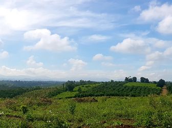 Cần  Tiền Bán Gấp Lô Đất 500M2 View Hồ