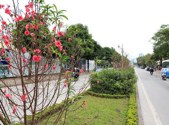 Đất Phường Nhật Tân, Gần Mặt Phố Lạc Long Quân 45M2, Mặt Tiền 6M, 5 Tỷ7.