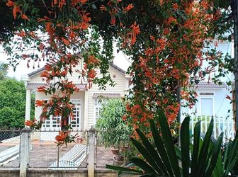 Nhanh Tay Nhanh Sử Hữu Ngay Lô Đất Để Đầu Tư Sinh Lời Qua Tết 2021 !!!