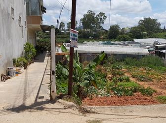 Bán Lô Đất 200Mv Biệt Lập Bằng Phẳng Hai Mặt Đường Tại Lữ Gia, Phường 9, Tp. Đà Lạt