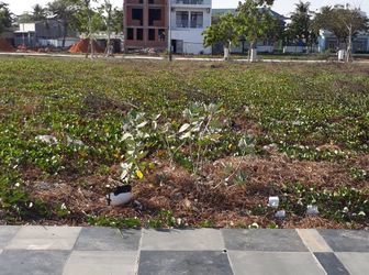 Bán Đất Giá Rẻ Ocea  Dunes Phan Thiết Bình Thuận