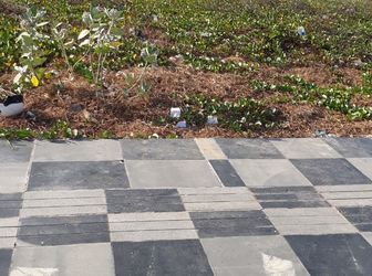 Bán Đất Giá Rẻ Ocea  Dunes Phan Thiết Bình Thuận