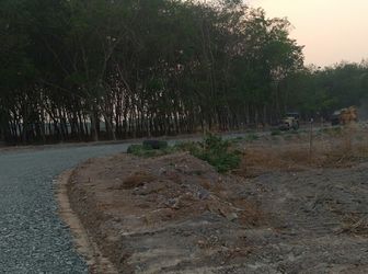  Bán Đất Thị Trấn Chơn Thành Ngay Cuối Tthc Huyện Đường Thông Kcn Becamex 