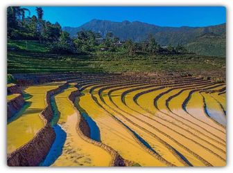 Bán Mảnh Đất 532M2, Y Tý Lao Chải View Đẹp Nhất Nhì Y Tý, Giá Mùa Covid