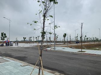 ????????sở Hữu Đất Nền Ven Đô Tp Thanh Hóa - Cạnh Nhà Máy May Phú Anh - Chỉ 1,xtỷ/lô 