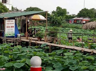 Đất Rộng Mặt Phố Yên Hoa – Yên Phụ - Tây Hồ 196 Triệu/m2.