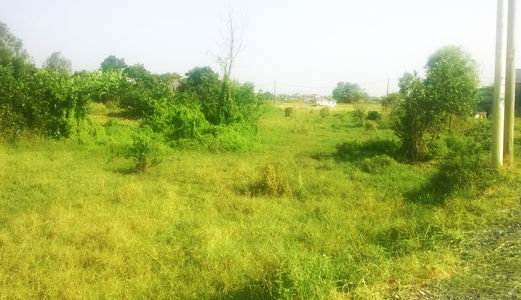 Bán đất xây nhà trọ, kho xưởng DT: 1000m2 ngang 31m mặt tiền đường xe ô tô – tải.