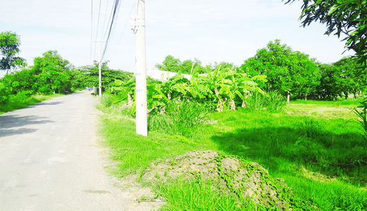 Đất Bình Chánh giá rẻ chỉ 3,8 tỷ sở hữu 2400 m2 đất mặt tiền đường nhựa, ngang cực khủng 58m, SHR