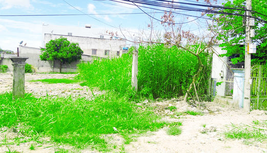 Bán gấp 1233m2 đất xây xưởng mặt tiền đường 8m, rộng 16m, Shr