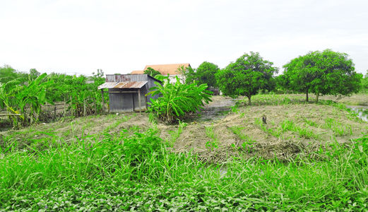 Cần bán 1000m2 đất khu dân cư Hưng Long Bình Chánh giá 1,6 tỷ