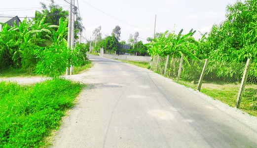 Bán 2900m2 đất  mặt tiền đường nhựa 8m Bình Chánh, giá 3,8 tỷ