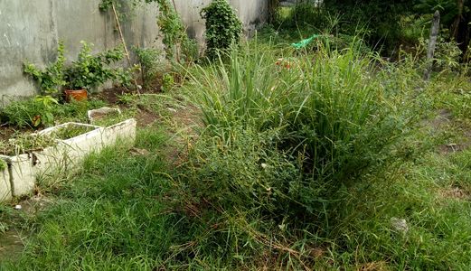 Bán Đất Vĩnh Lộc B, 4.7m X 16.6m