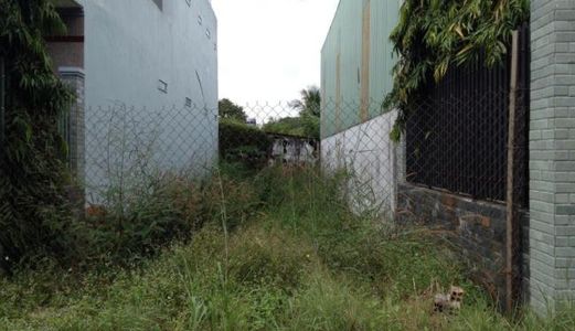 Bán Đất Thổ Cư Đoàn Nguyễn Tuấn, 196M2/ 539 Triệu, Shr , Bình Chánh