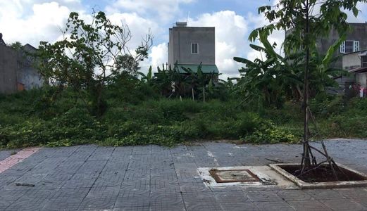 Đất vàng đầu tư mặt tiền đường 81 ngay khu TĐC 81, TC, SHR giá rẻ