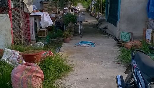 Bán Đất Thổ Cư 5X15 Cách Tl 835 400M Xã Mỹ Lộc, Cần Giuộc, Long An