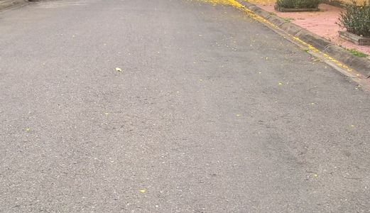 Bán lô đất khu dân cư Sông Giồng quận 2