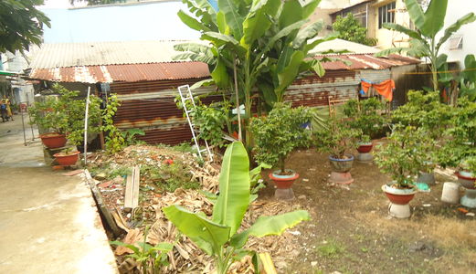 Đất Phân Lô F1 Ngay Ubnd P10, Quang Trung, P10, Gv: 50m2, 60m2