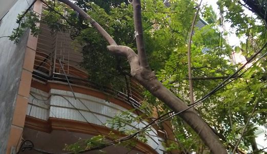 Bán Nhà Phố Cầu Giấy 84M2, 4Tầng, 7.8Tỷ ,Ô Tô Đỗ,Lô Góc Thoáng,Yên Tĩnh