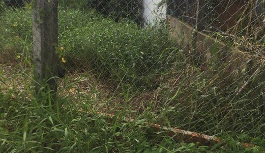 Cần bán gấp 2860 m2 mặt tiền đường Hóc hưu, Quy Đức, Bình Chánh.