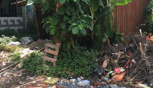 Bán Lô Đất 278m2 Thổ Cư Hxh 6m, Ql 13, Hiệp Bình Phước, Thủ Đức. Giá: 6,1 Tỷ.