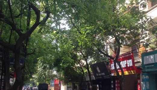 Bán Nhà Mặt Phố Vũ Trọng Phụng Thanh Xuân, Sổ Đỏ Chính Chủ, 57M2, 4 Tầng, Mt 4M, 14 Tỷ