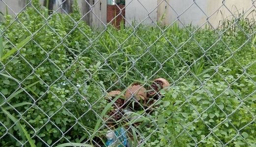 Đất cần bán gấp,thới an 04.dt 4x23m thổ cư 100%  xây dựng tự do