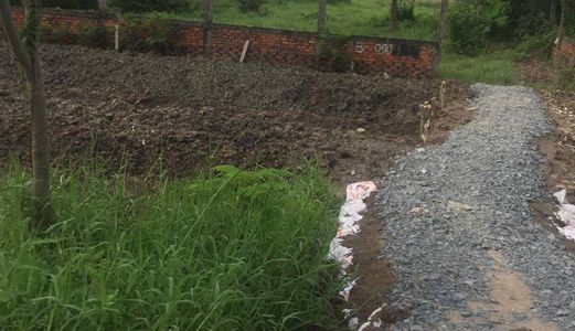 Cần Sang Gấp 1500m2 Đất Vườn Quy Đức, Bình Chánh.