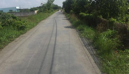 Cần Sang Gấp 1500m2 Đất Vườn Quy Đức, Bình Chánh.