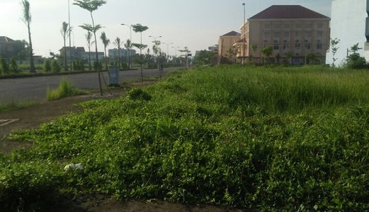 Thật Đễ Dàng Sở Hữu Đất Nền Giá Rẻ Tại Đẹp Nhất Tại Long An