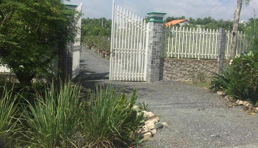 1500m2 Mặt Tiền Đường Ô Tô QL50 Bình Chánh.
