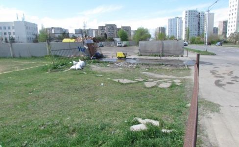 Đất Thổ Cư, Mt Kinh Doanh, Ngay Vòng Xoay Phú Hữu Q2